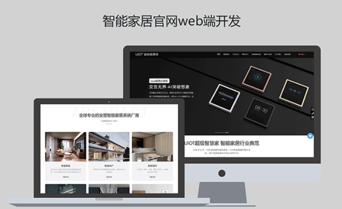 ǰ����վ������վ���迪��Java/PHP���ƿ���